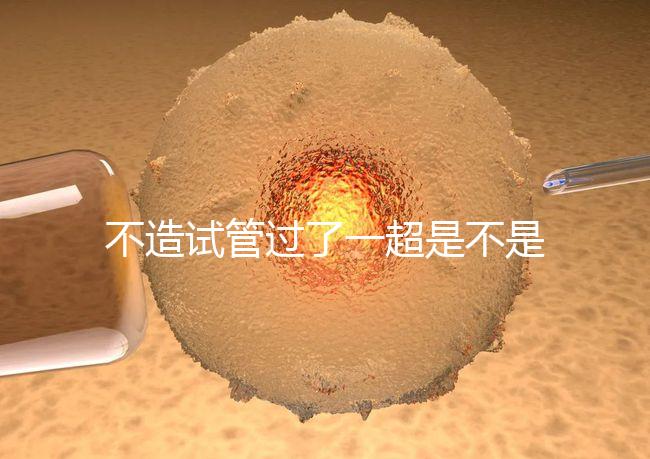 不造試管過了一超是不是就安全了，三點(diǎn)告訴你還會不會胎停
