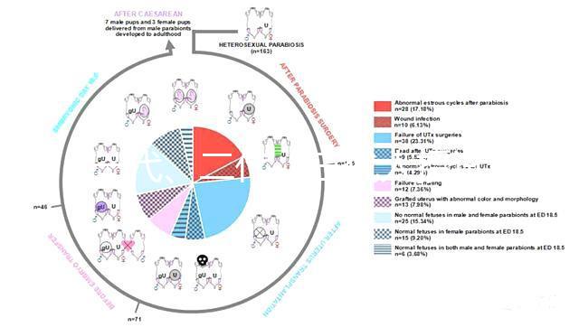 一代、二代、三代人授試管的區(qū)別全在這里！還有第四代試管技術！