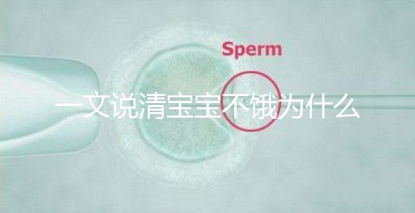 一文說清寶寶不餓為什么瘋狂找奶，找準原因才好解決