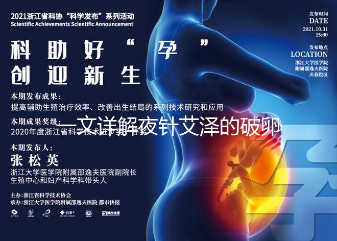 一文詳解夜針艾澤的破卵成功率，60s弄清跟絨促誰更高