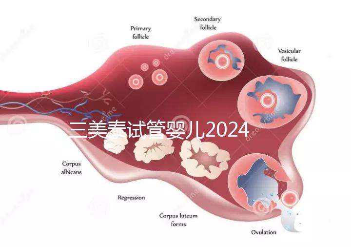 三美泰試管嬰兒2024年的成功率還能更高嗎？