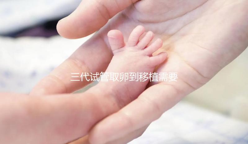 三代試管取卵到移植需要多久？總體時間安排分析