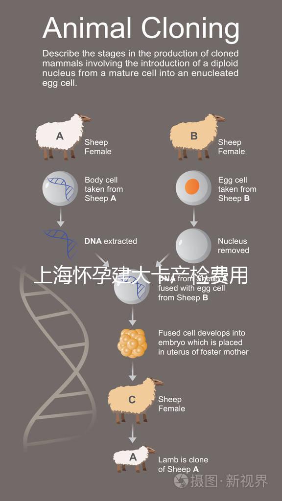 上海懷孕建大卡產(chǎn)檢費(fèi)用分享，不同地區(qū)收費(fèi)標(biāo)準(zhǔn)差別大！