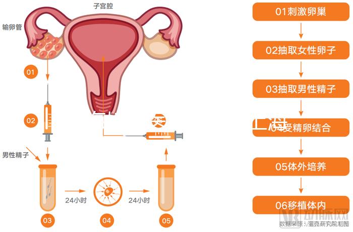 上海婦科醫院排名（上海婦科醫院排名第一）