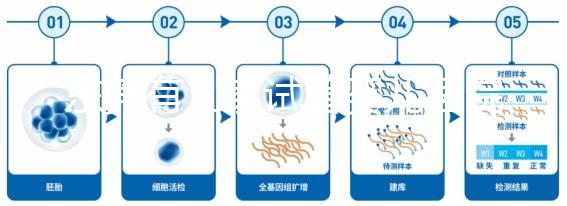 東莞有幾家試管嬰兒醫(yī)院？不同生殖中心費(fèi)用和成功率詳解
