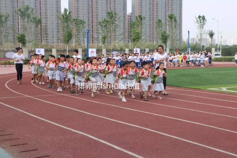 排卵期fsh和lh比值對照參考表速覽，大于2小于3真不正常