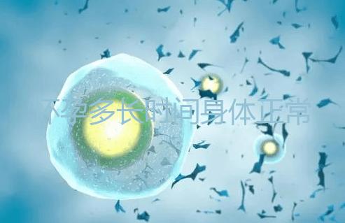 懷孕多長(zhǎng)時(shí)間身體正常