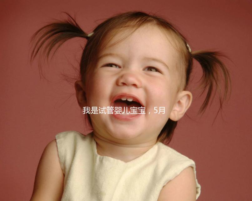 我是試管嬰兒寶寶，5月15號(hào)移植的囊胚，預(yù)產(chǎn)期是怎么算的 。。？