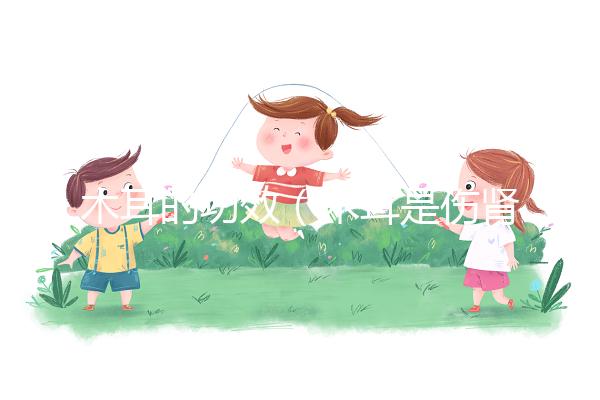 木耳的功效（木耳是傷腎還是補(bǔ)腎）