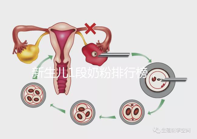 新生兒1段奶粉排行榜，口碑好、價格實惠的品牌紛紛上榜