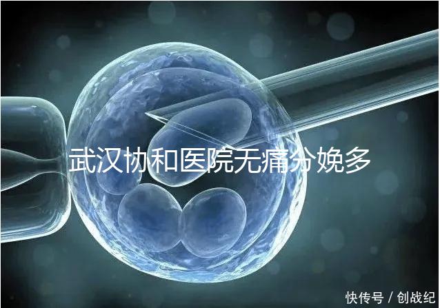 武漢協(xié)和醫(yī)院無(wú)痛分娩多少錢(qián)答案在這,住院一天費(fèi)用不高