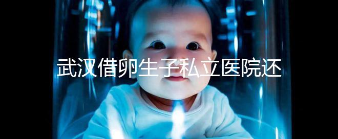 武漢借卵生子私立醫(yī)院還得看這幾家，協(xié)和、同濟醫(yī)院上榜