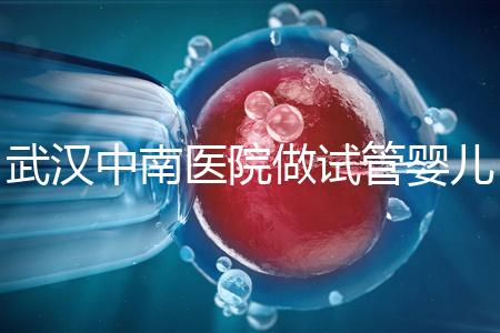 武漢中南醫(yī)院做試管嬰兒需要多少錢：2025年這些試管收費(fèi)有變動(dòng)