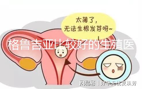格魯吉亞比較好的生殖醫(yī)院是哪家，助孕成功率高還看這4家