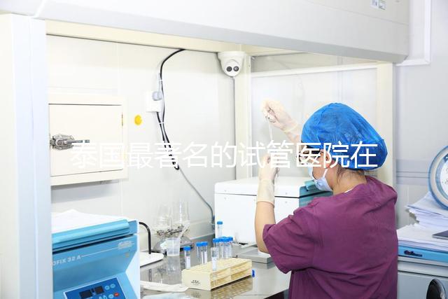 泰國最著名的試管醫(yī)院在哪里最好？推薦助孕機構(gòu)名單