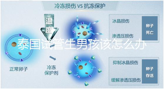 泰國試管生男孩該怎么辦？詳細助孕流程快速收集