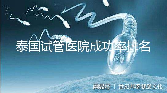 泰國試管醫院成功率排名公布，這些詳細介紹，為您提供選擇參考！