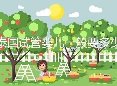 泰國試管嬰兒一般要多少錢（泰國試管嬰兒一般要多少錢費(fèi)用）