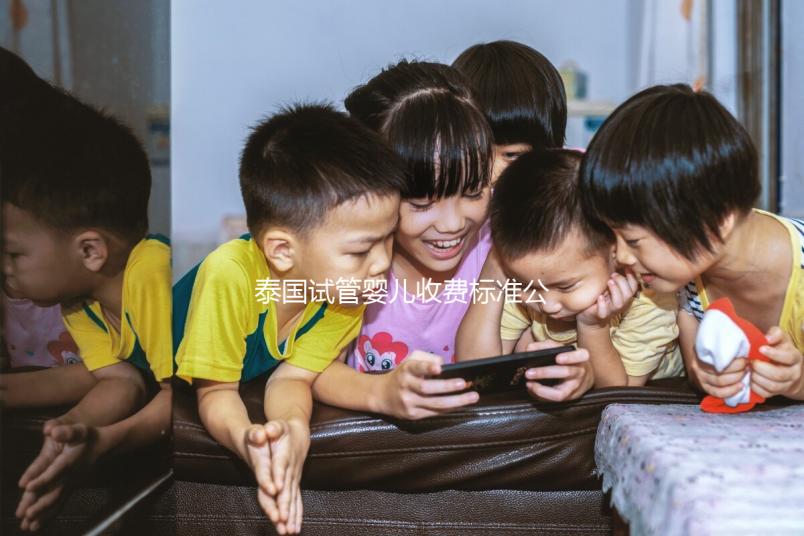 泰國試管嬰兒收費(fèi)標(biāo)準(zhǔn)公布,藥品費(fèi)用占大多數(shù)