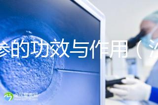 沙參的功效與作用（沙參的功效與作用主要治什么病癥）