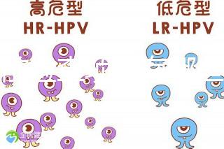 孕前檢查項目有哪些？