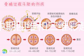 孕中期四維和三維彩超檢查區(qū)別真不小，看完便知誰更好