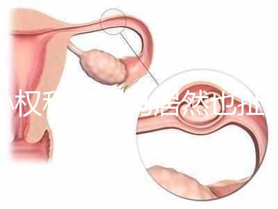 孫權和奧巴馬居然也扯得上關系：他們都是混血兒
