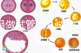 宜昌做試管嬰兒成功率和費用多少？先看哪些醫院能做吧！