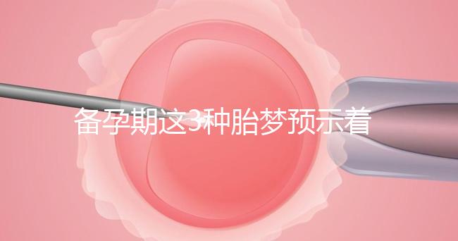 備孕期這3種胎夢預(yù)示著貴子降臨，想懷兒子有福利了