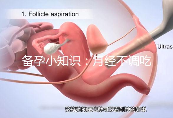備孕小知識:月經(jīng)不調(diào)吃黃體酮或補(bǔ)佳樂還是達(dá)英35好