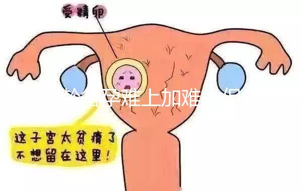 大齡備孕難上加難，但為什么越年輕的女性越容易懷孕？