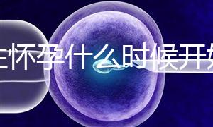 女性懷孕什么時(shí)候開始更準(zhǔn)確?