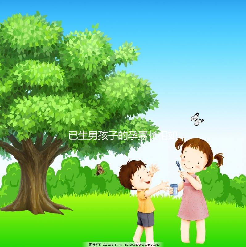 已生男孩子的孕囊長相如此怪異，圖片參考對照看看