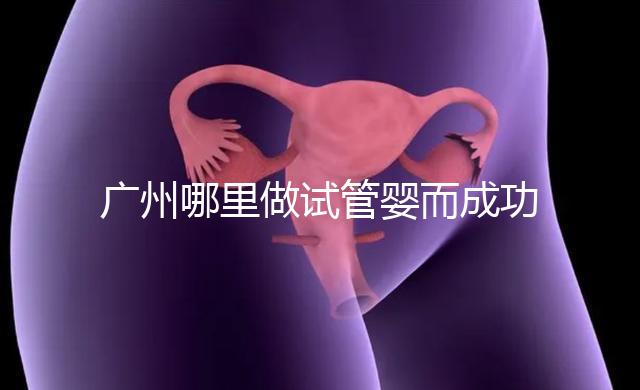 廣州哪里做試管嬰而成功率高？如何提高成功率？