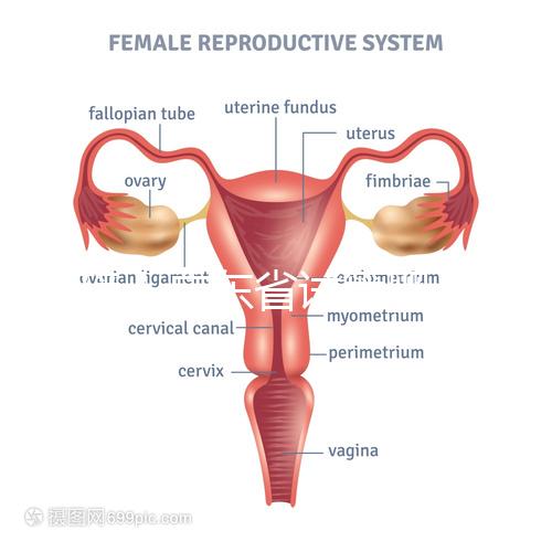 重磅！廣東省試管嬰兒納入醫保報銷 10.1執行（附政策解讀）