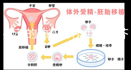荊芥的功效與作用（荊芥的功效與作用主要治什么病）