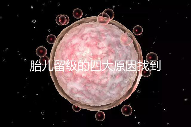 胎兒留級的四大原因找到了！多半和媽媽太懶不運(yùn)動有關(guān)系