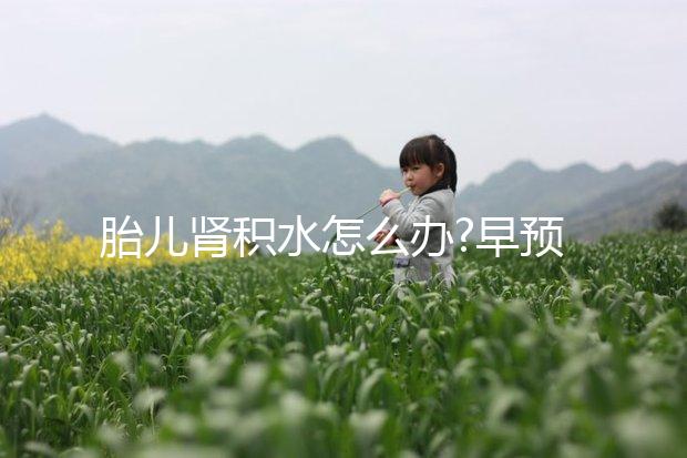 胎兒腎積水怎么辦?早預(yù)防早治療才不會(huì)貽誤病情