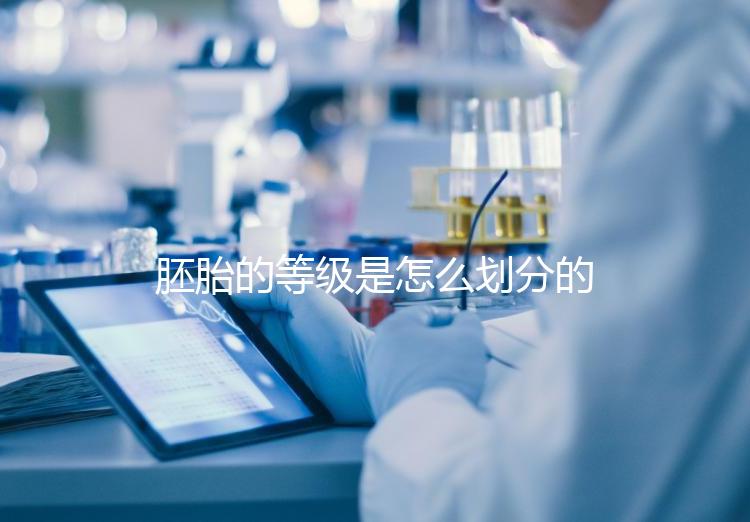 胚胎的等級是怎么劃分的？詳解3天胚胎與5天囊胚的評估標準