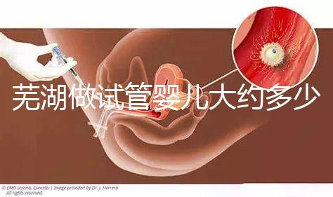 蕪湖做試管嬰兒大約多少錢？一次成功率高嗎？