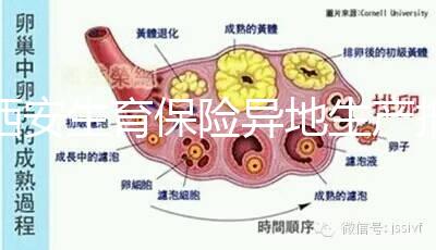 西安生育保險異地生產(chǎn)報銷流程及程序公開，不懂收藏