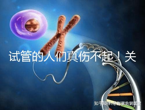 試管的人們真傷不起！關于養囊的成功率這些你得知道