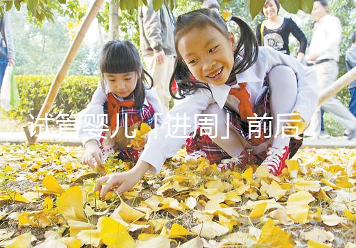 試管嬰兒「進(jìn)周」前后，這些問題請知曉！