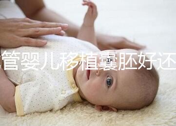 試管嬰兒移植囊胚好還是胚胎好，一文分析