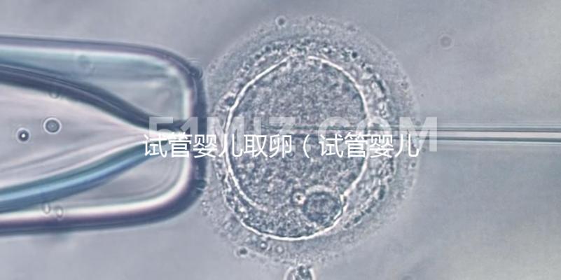 試管嬰兒取卵（試管嬰兒取卵時疼嗎）