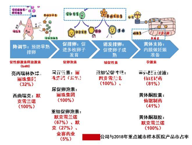 試管嬰兒哪幾個地區(qū)可報(bào)銷醫(yī)保