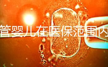 試管嬰兒在醫(yī)保范圍內(nèi)（試管嬰兒在醫(yī)保范圍內(nèi)能報(bào)銷嗎）