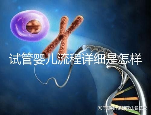 試管嬰兒流程詳細(xì)是怎樣的？步驟+注意事項(xiàng)一文讀懂！