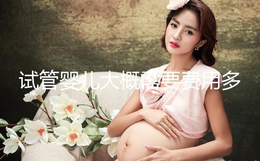試管嬰兒大概需要費用多少？怎么確定花多少錢？