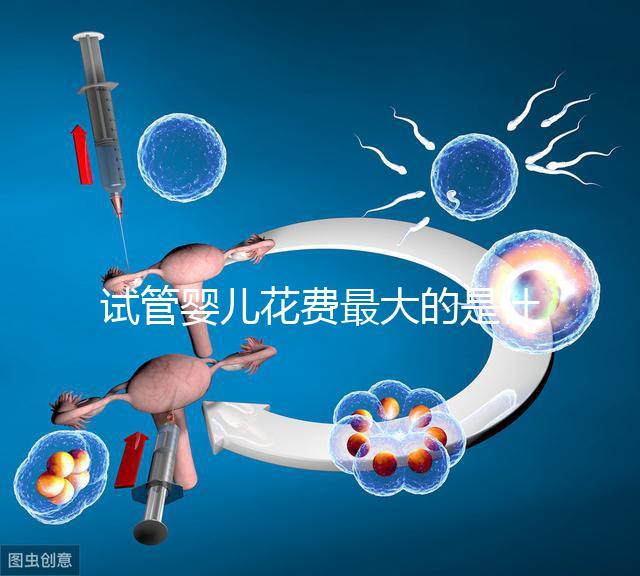 試管嬰兒花費(fèi)最大的是什么？